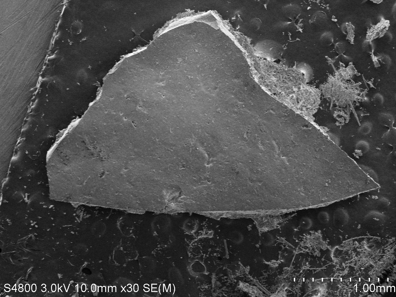 Black coating at 30x (1 mm scale bar).