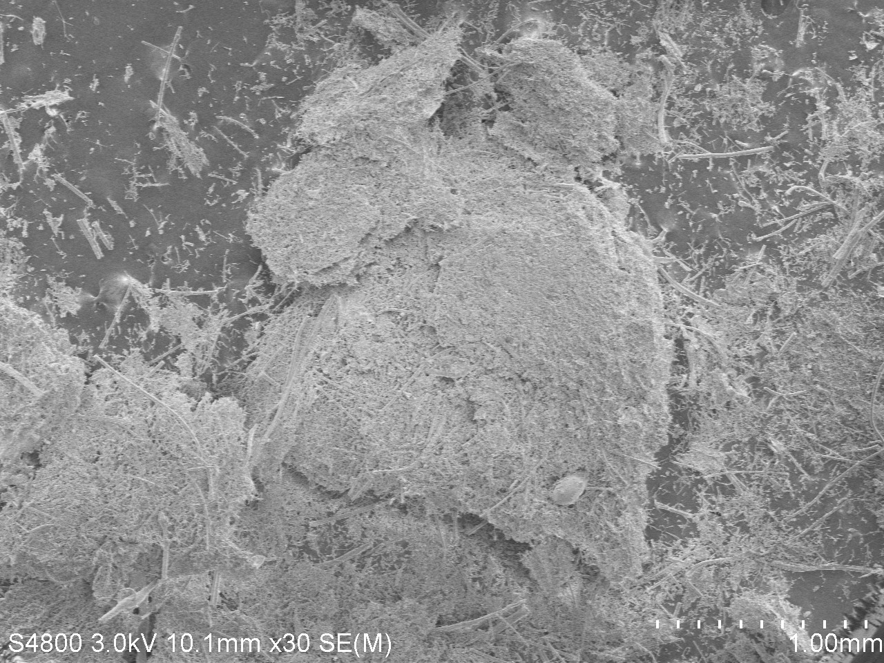 Fiber substrate at 30x (1 mm scale bar). A compressed, felt-like mass of fibers.