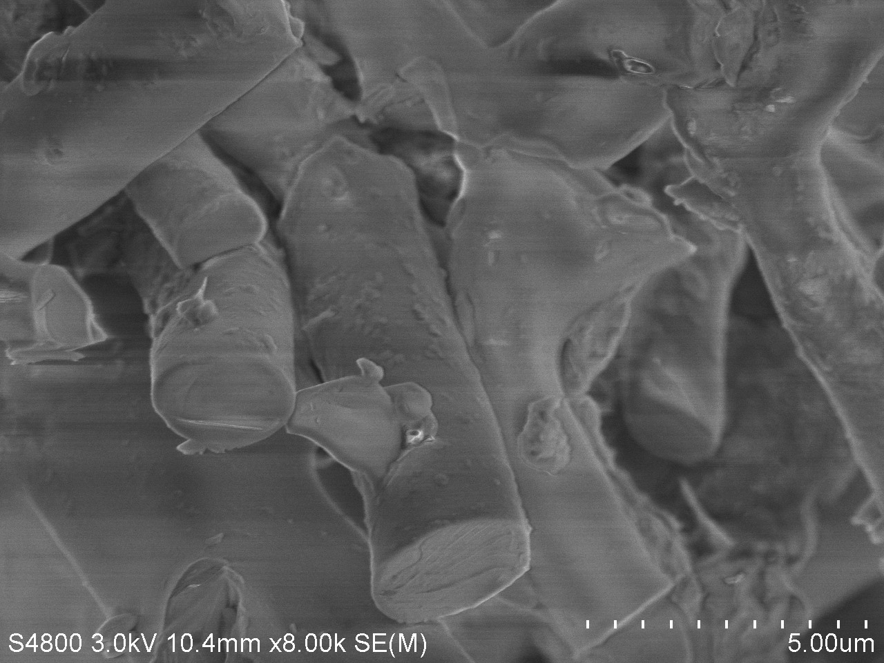 Individual fibers at 8,000x (5 μm scale bar). Smooth cylindrical rods, here the smaller fibers around 15 μm and under.